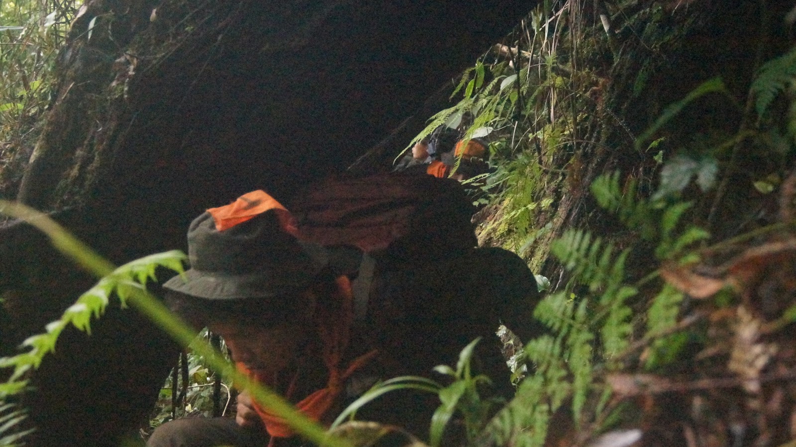 DSC04262.JPG