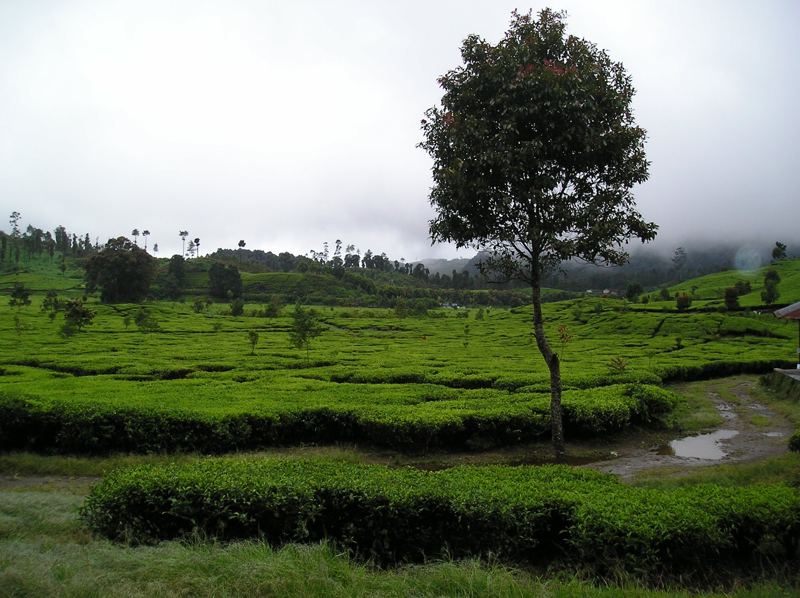 PC180045.JPG
