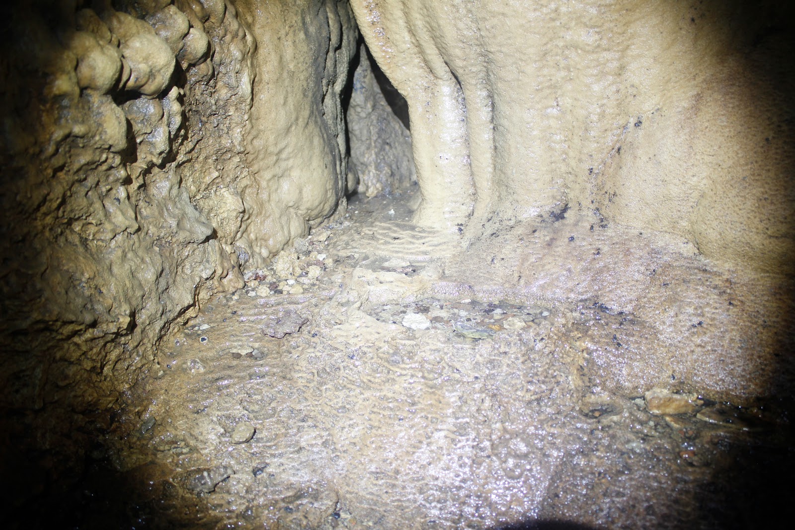 _MG_9528.JPG