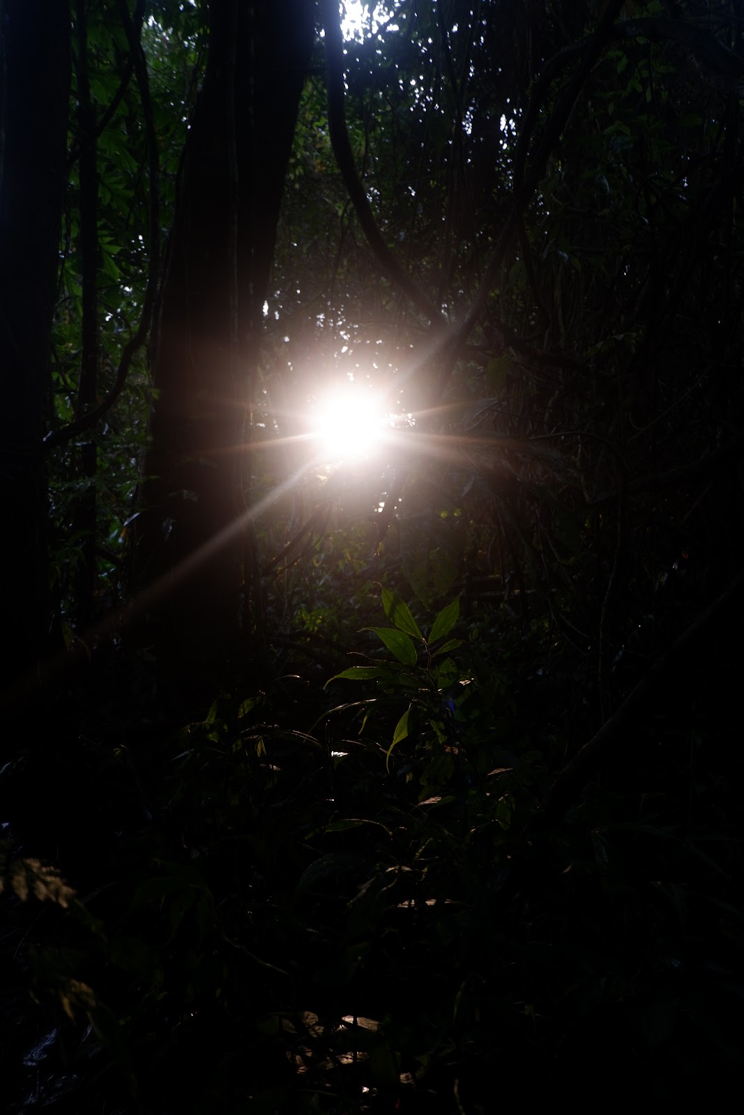 DSCF6501.JPG