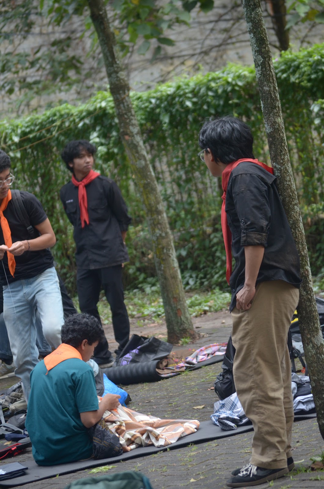 DSC_0738.JPG