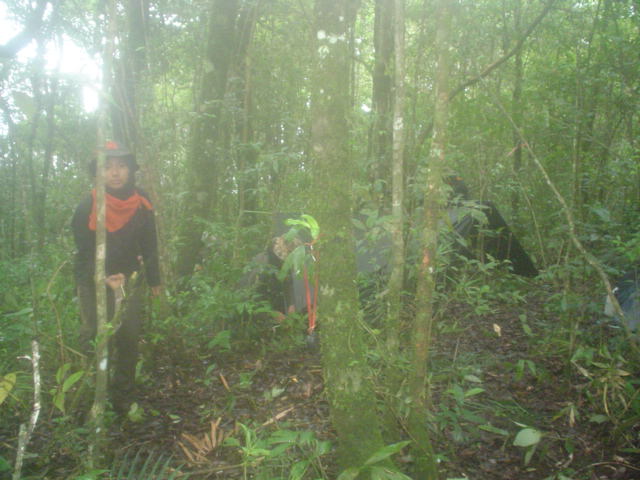 DSC02860.JPG