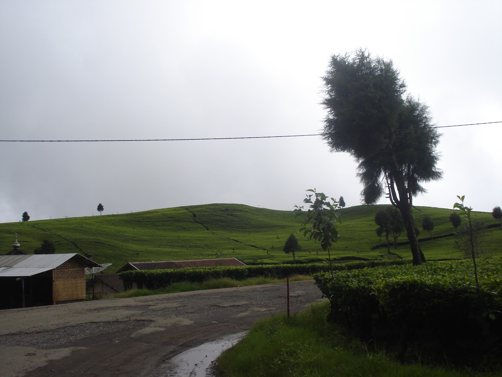DSC05161.JPG