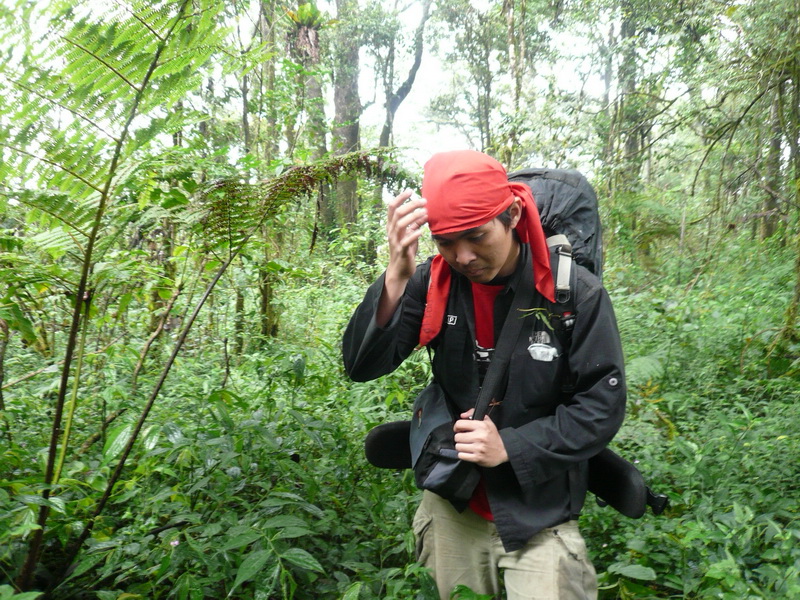 P1040683.JPG