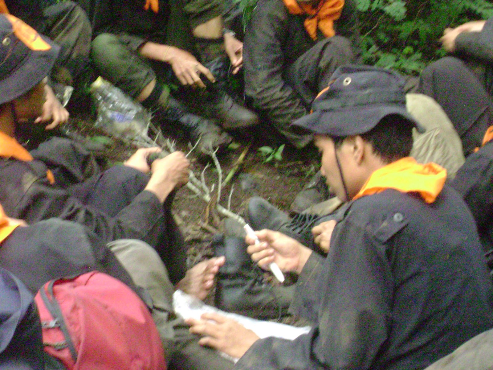 DSC07889.JPG