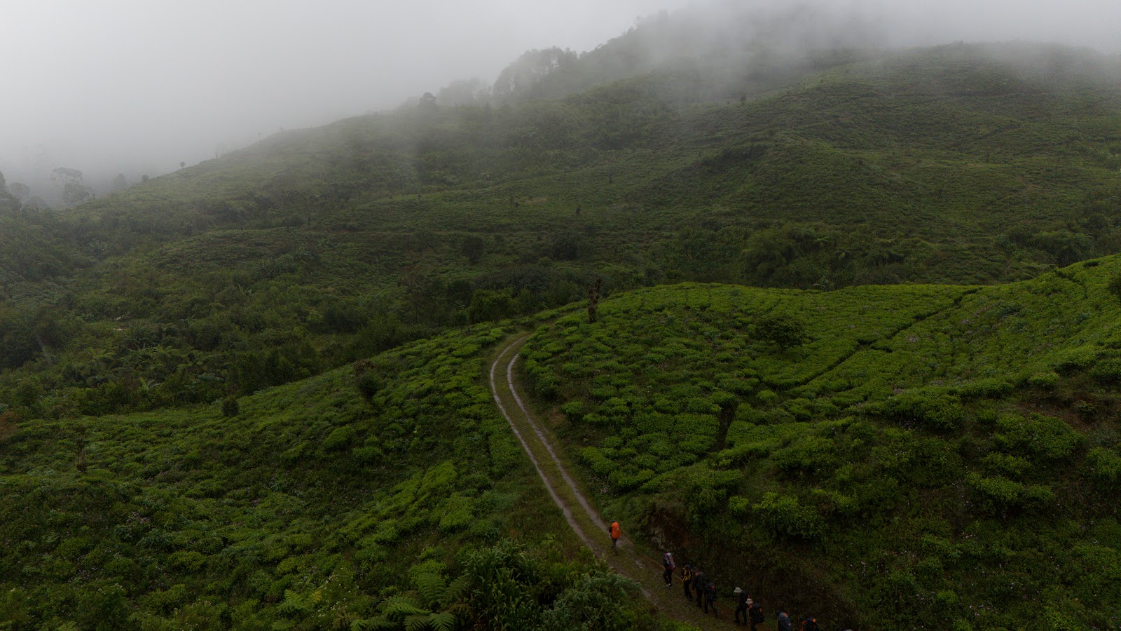 DJI_20260121101850_0163_D.DNG