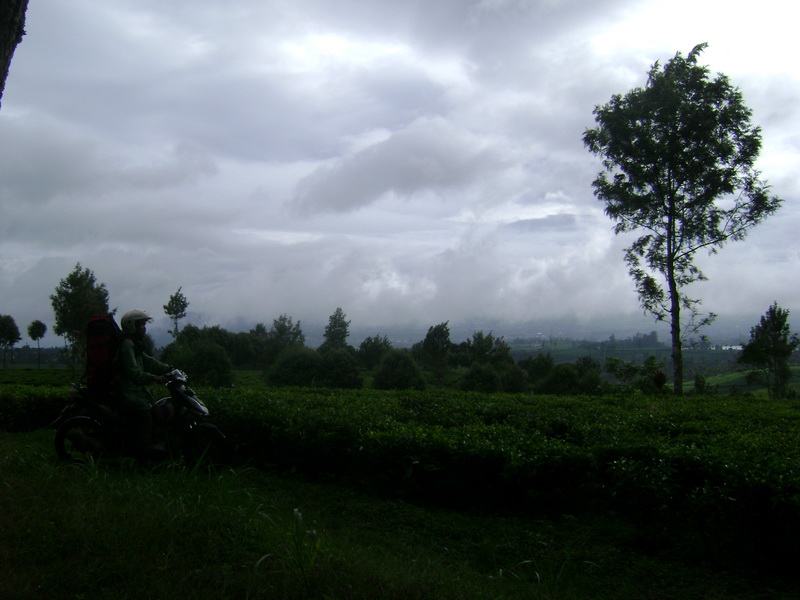 DSC04992.JPG