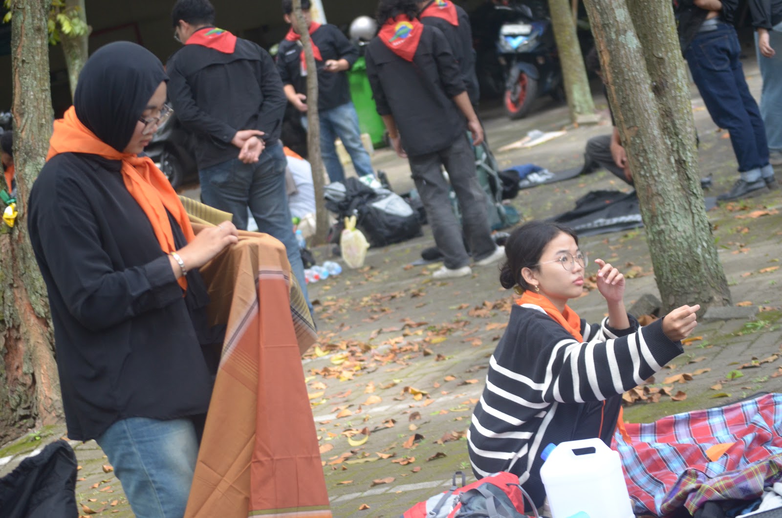 DSC_0679.JPG