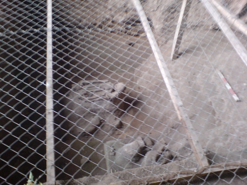 DSC00111.jpg