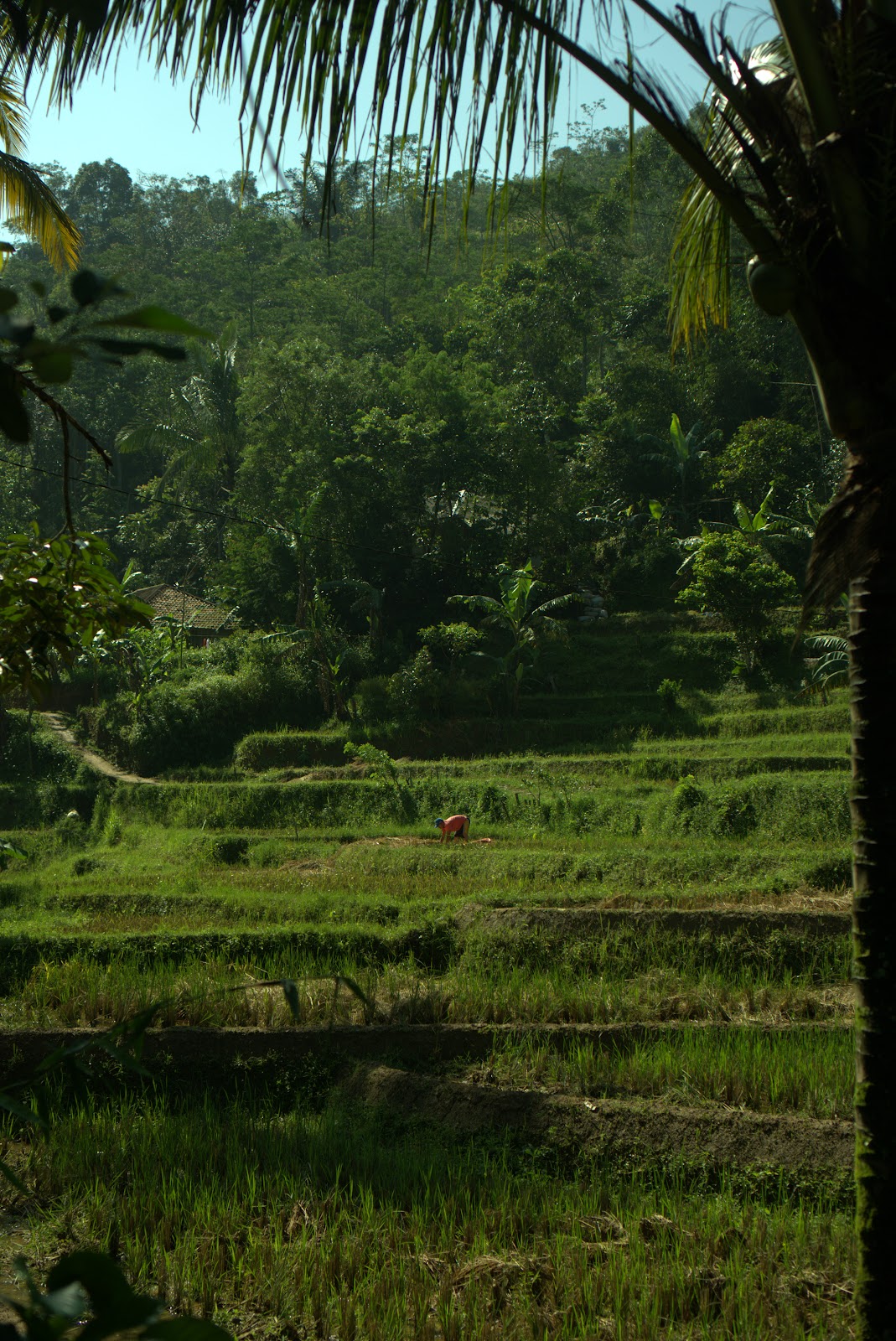 DSC02938.ARW