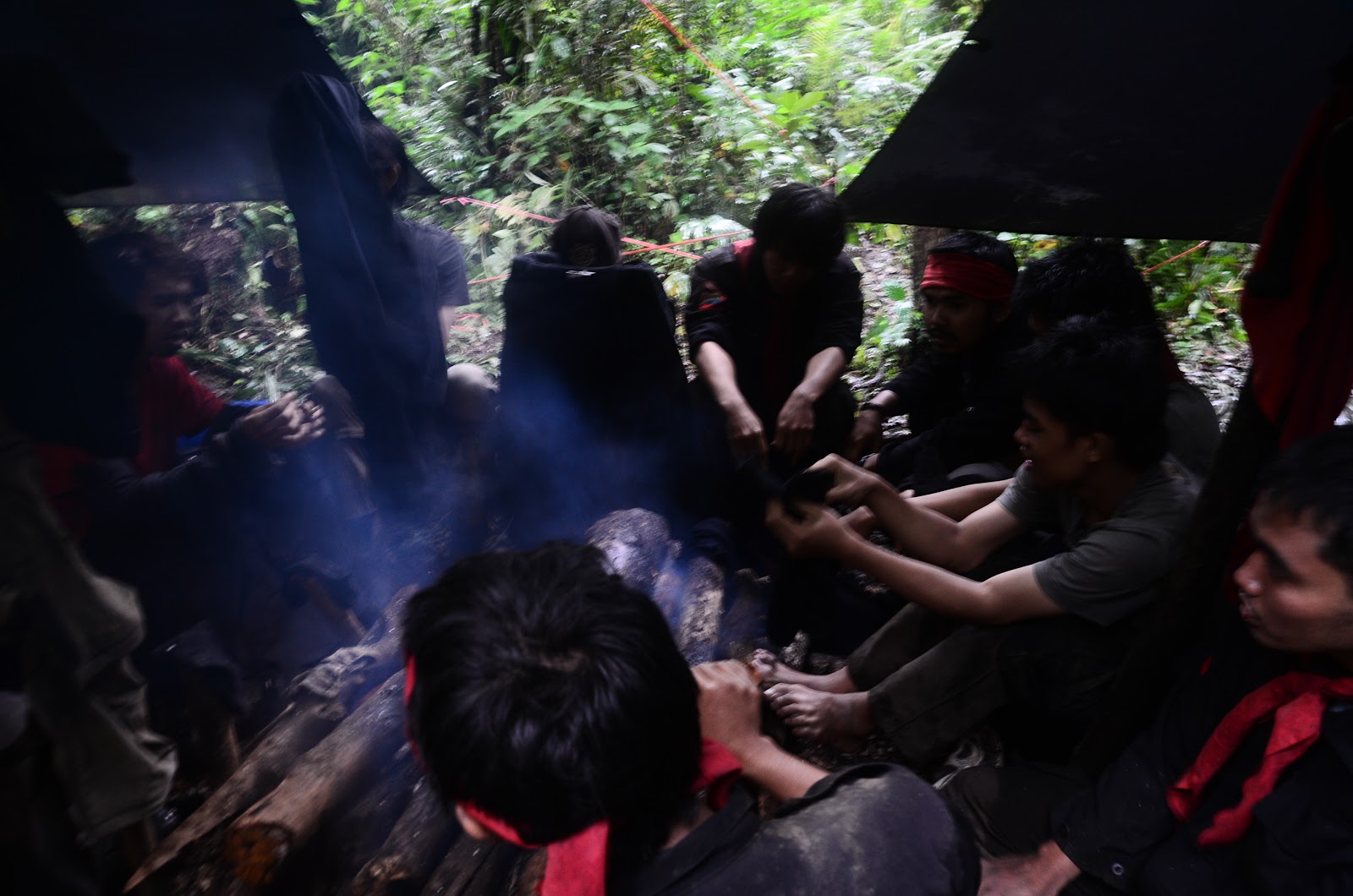 DSC_0234.JPG