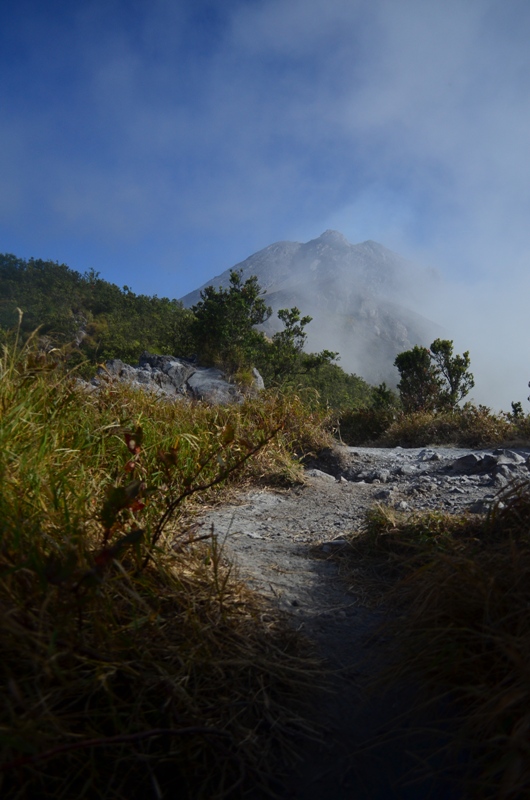 DSC_0026.JPG