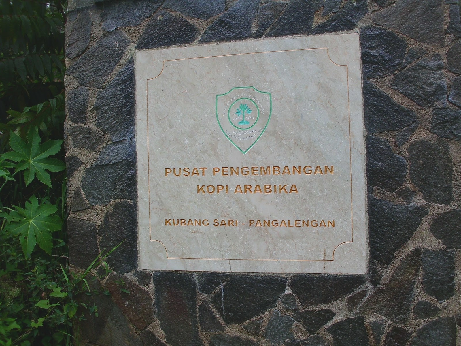 CIMG0770.JPG