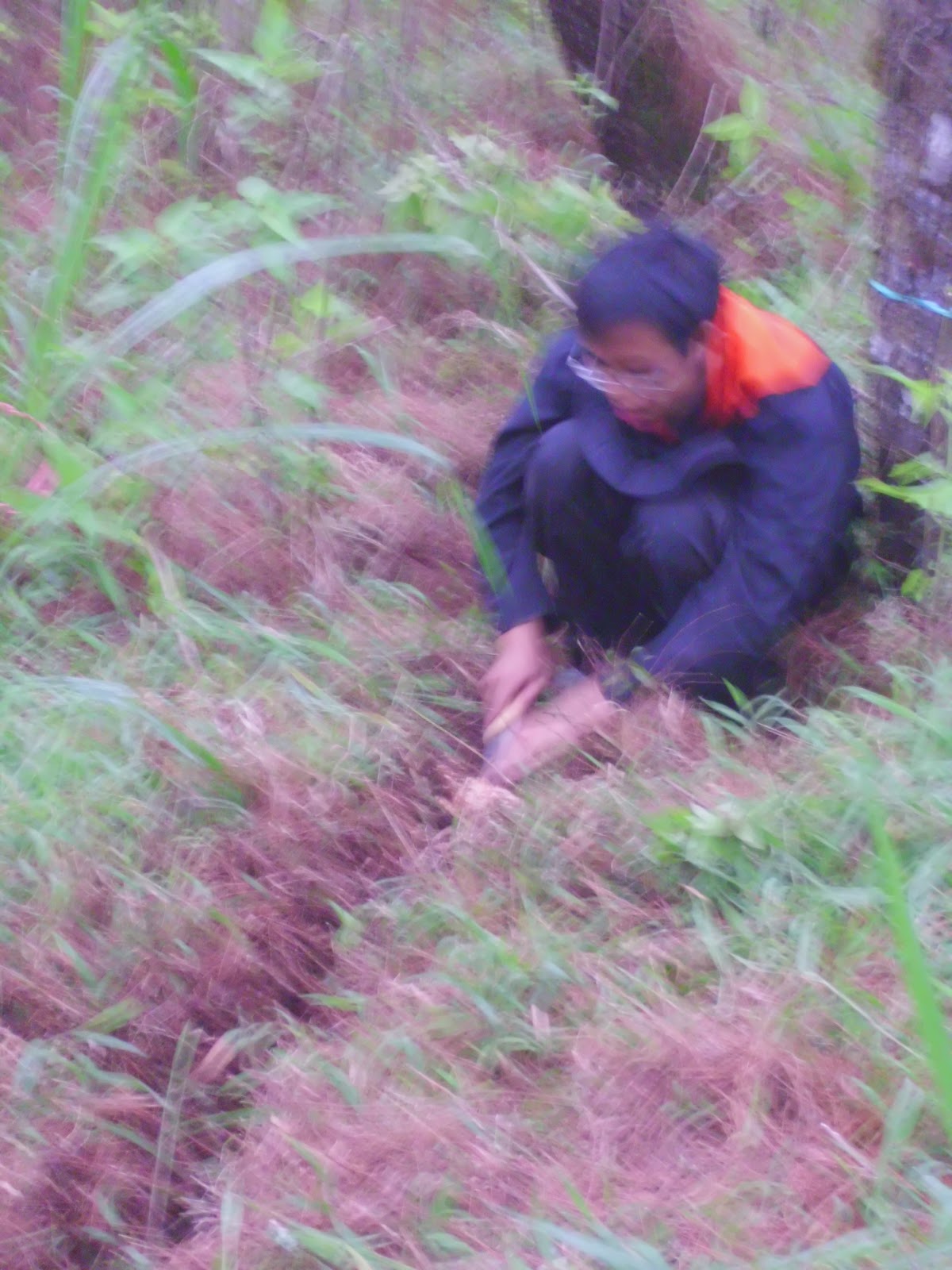 CIMG0795.JPG