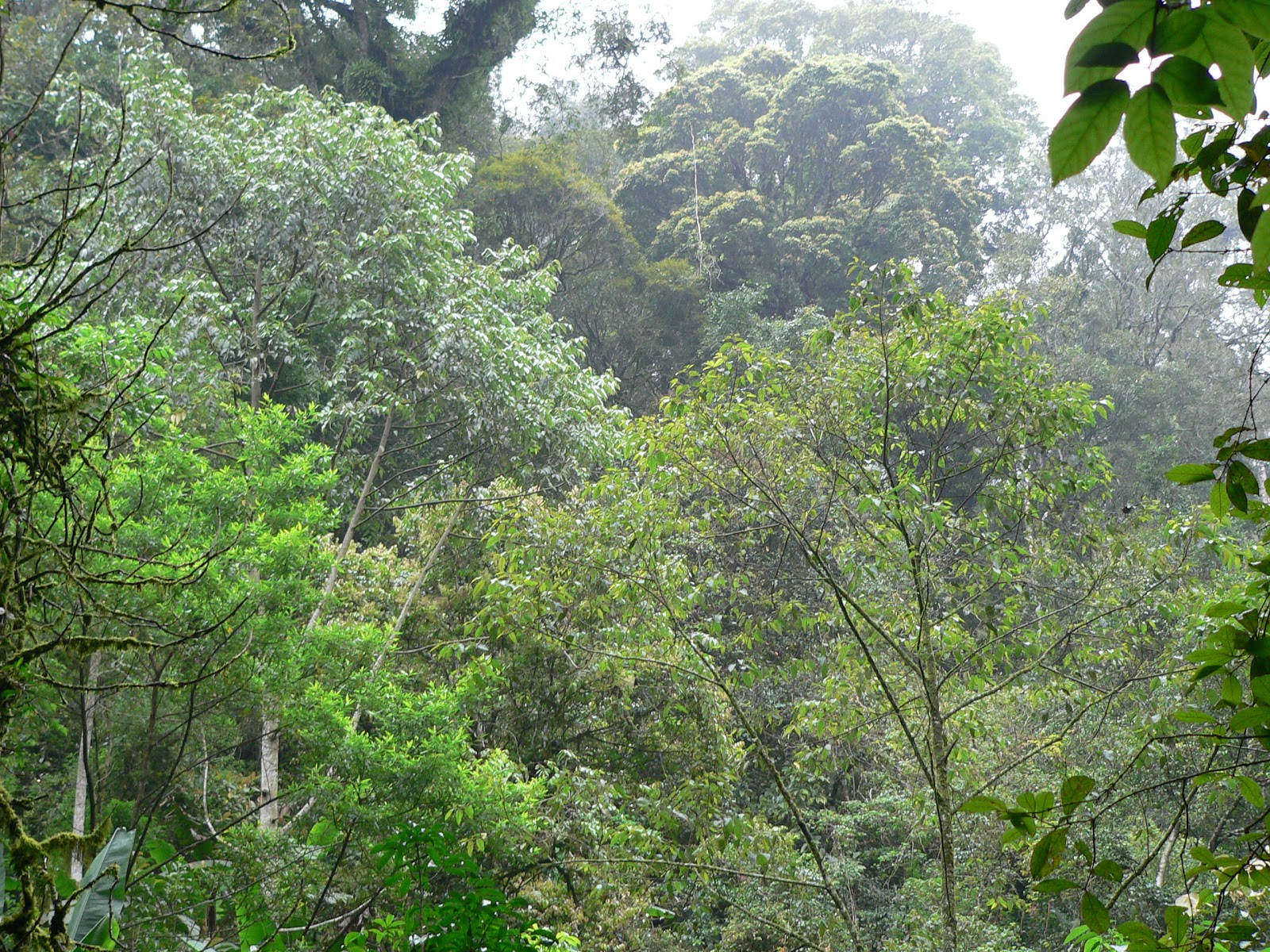 P1060534.JPG