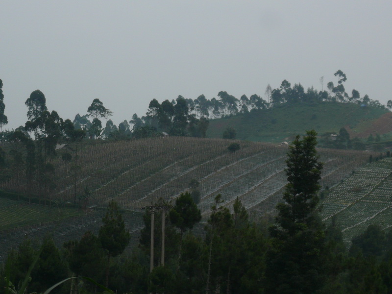 P1040862.JPG