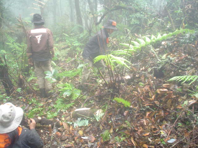DSC02036.JPG