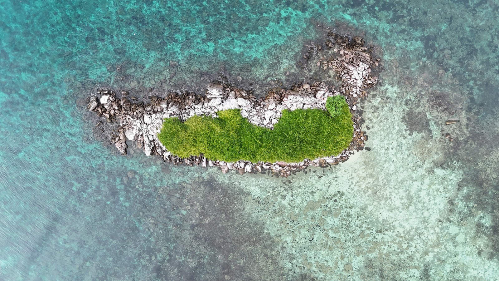 DJI_20250512090751_0094_D.JPG