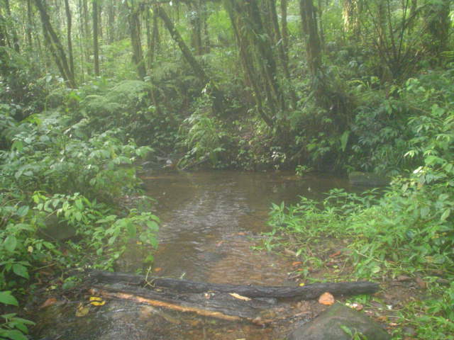 Survey GH I - 58.JPG