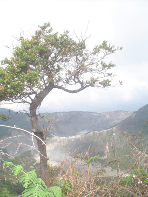 DSC01561.JPG
