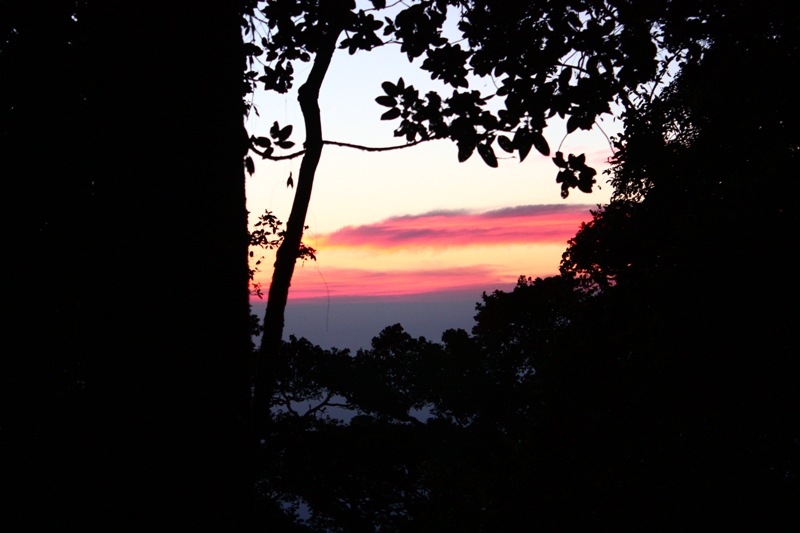 IMG_1686.JPG