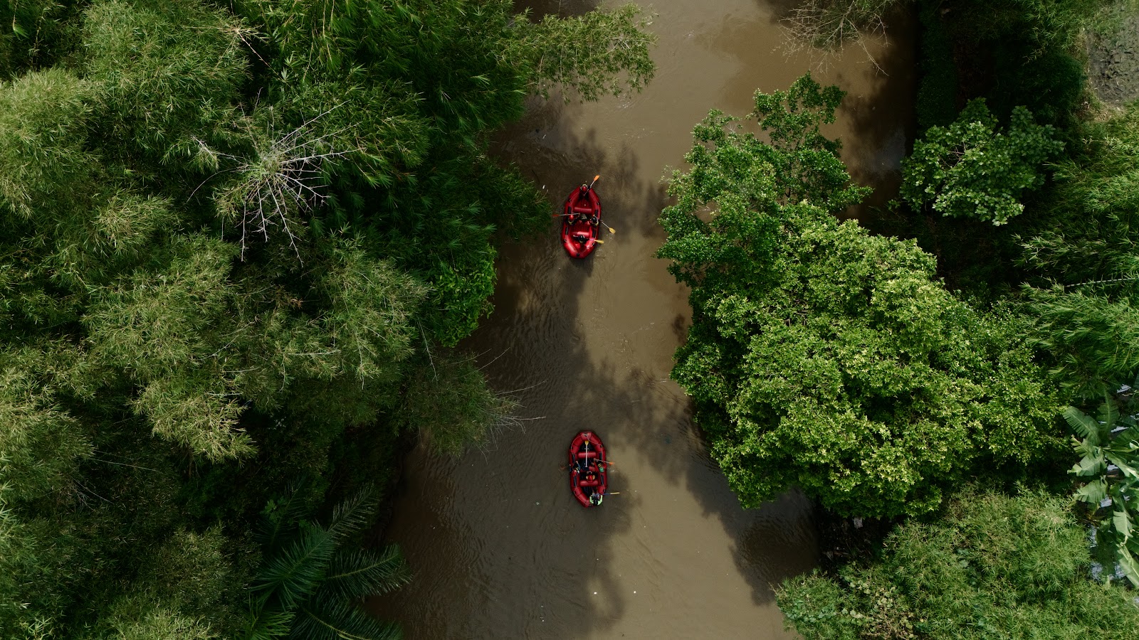 dji_fly_20260516_091228_0270_1778949587601_photo.DNG