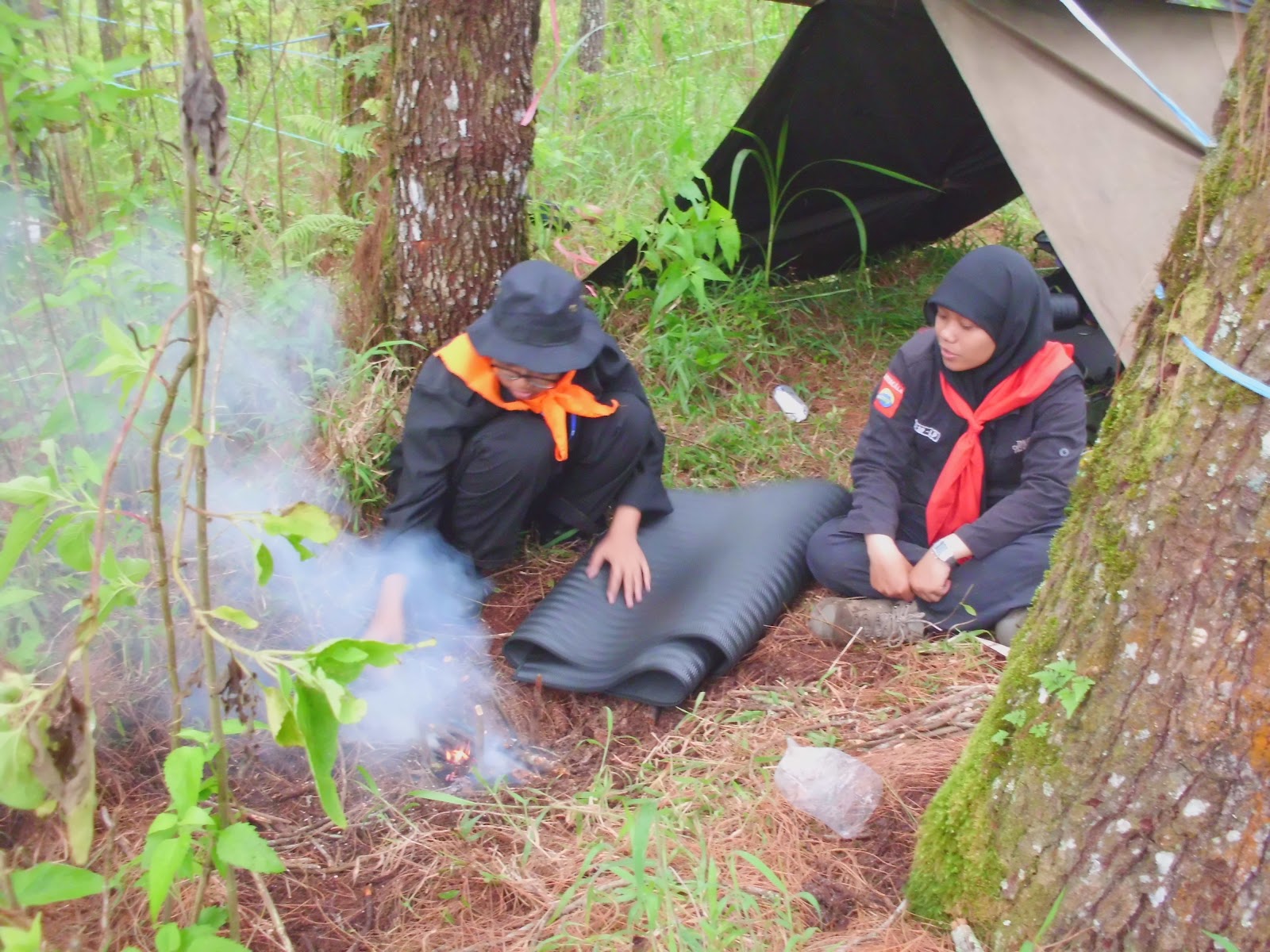 CIMG0794.JPG