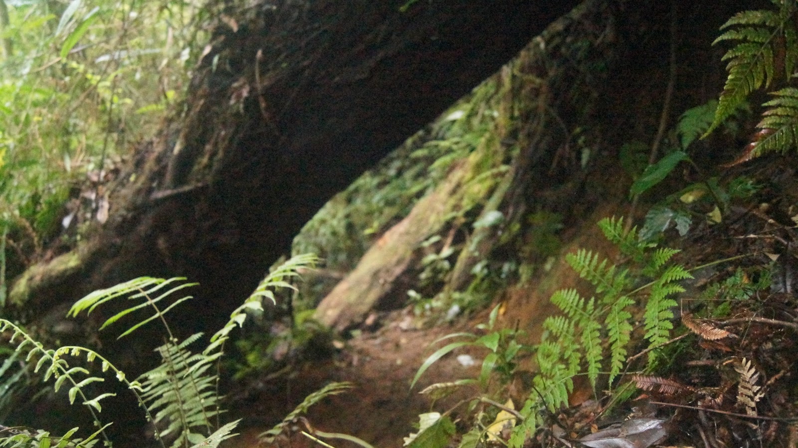 DSC04258.JPG