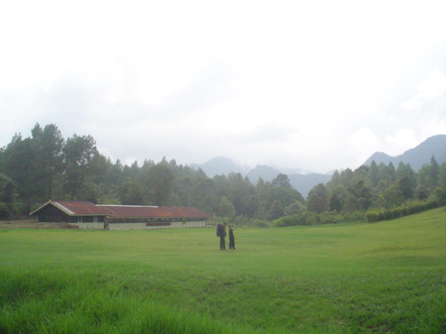 DSC01484.JPG