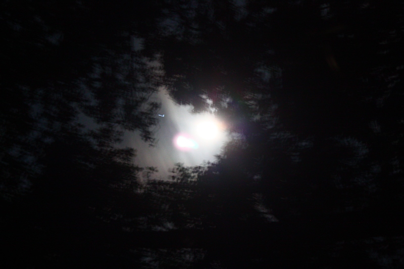 IMG_1619.JPG
