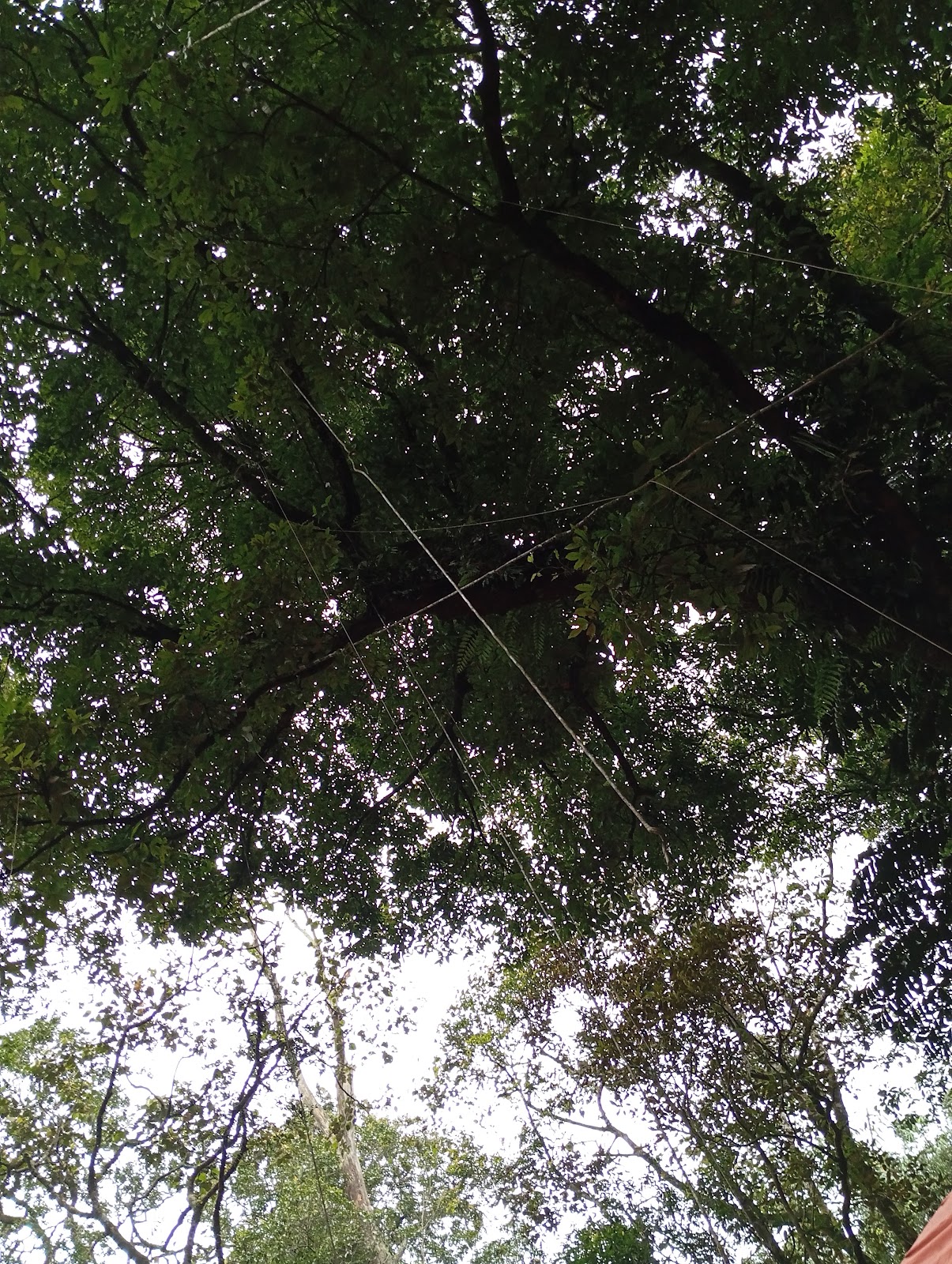 IMG_20240118_173716.jpg