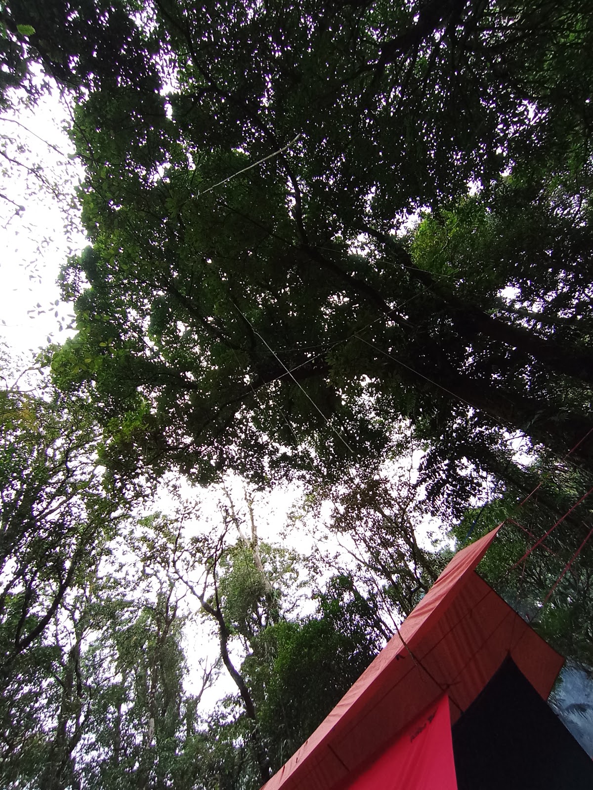 IMG_20240118_173710.jpg
