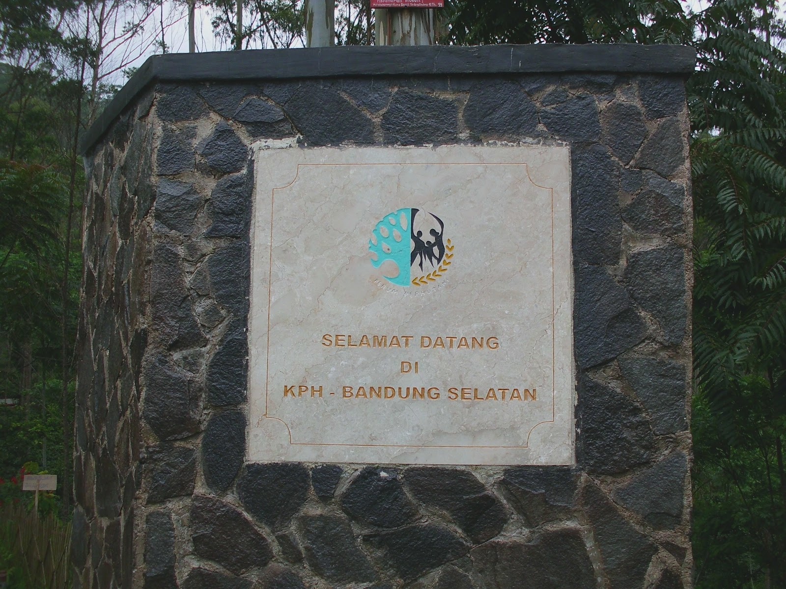 CIMG0769.JPG