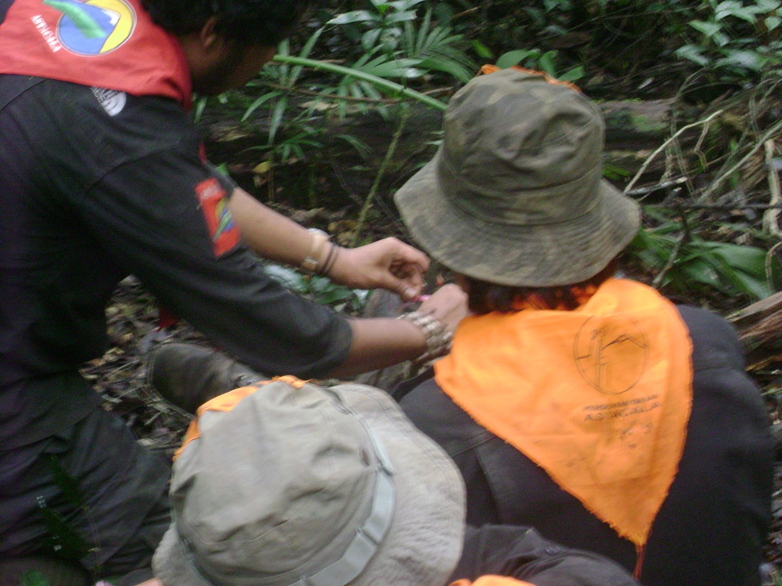 DSC09780.JPG
