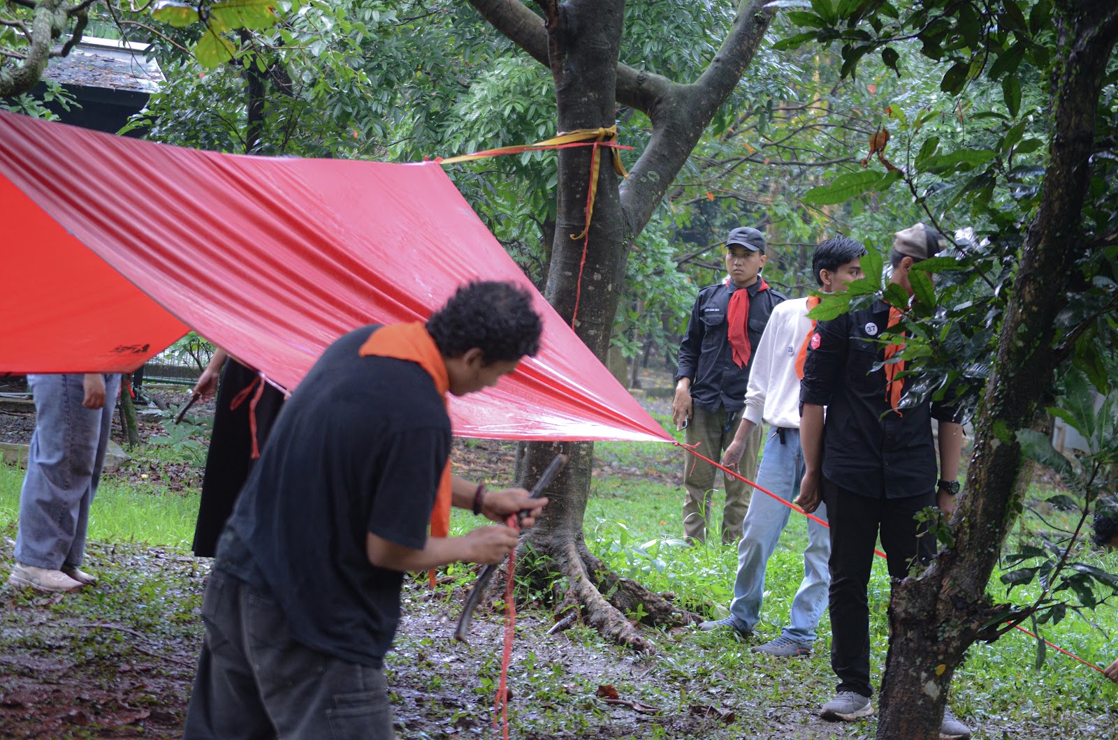 GH & SurvivalL-3.jpg