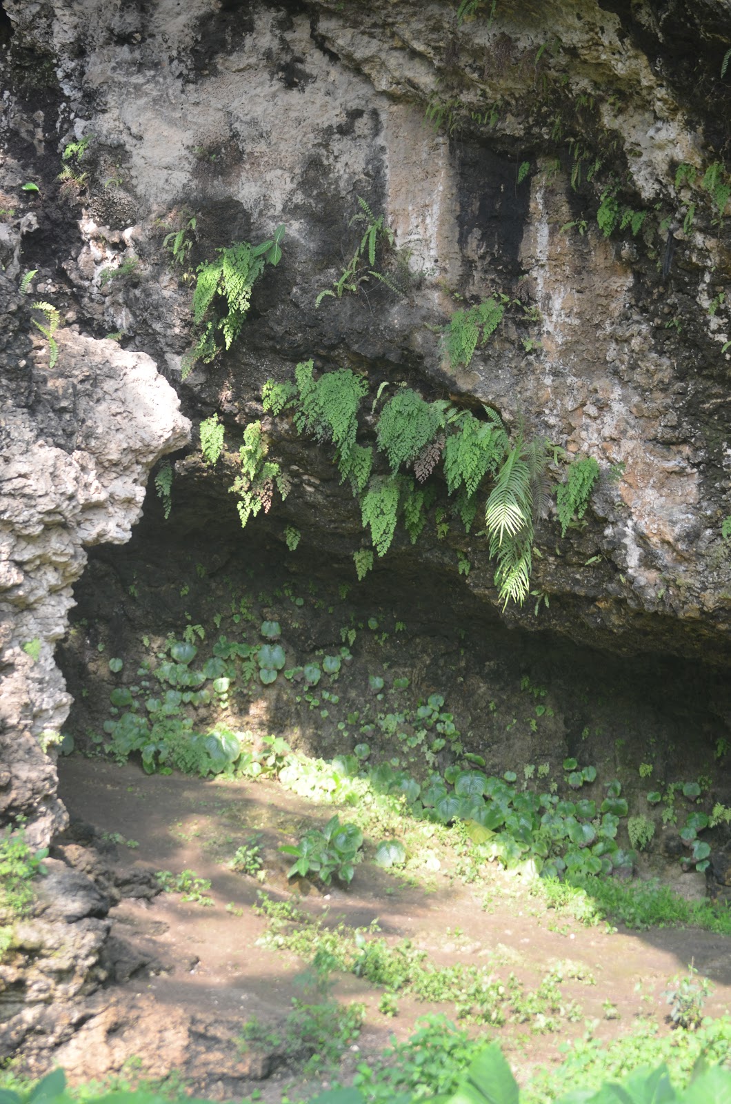 DSC_4538.JPG