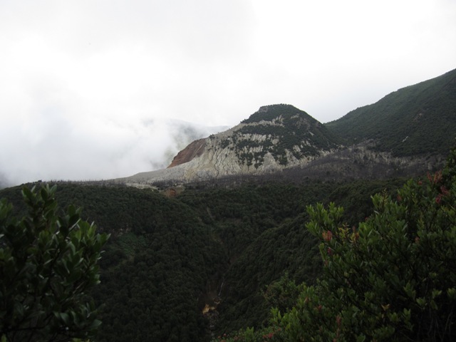 IMG_0043.JPG