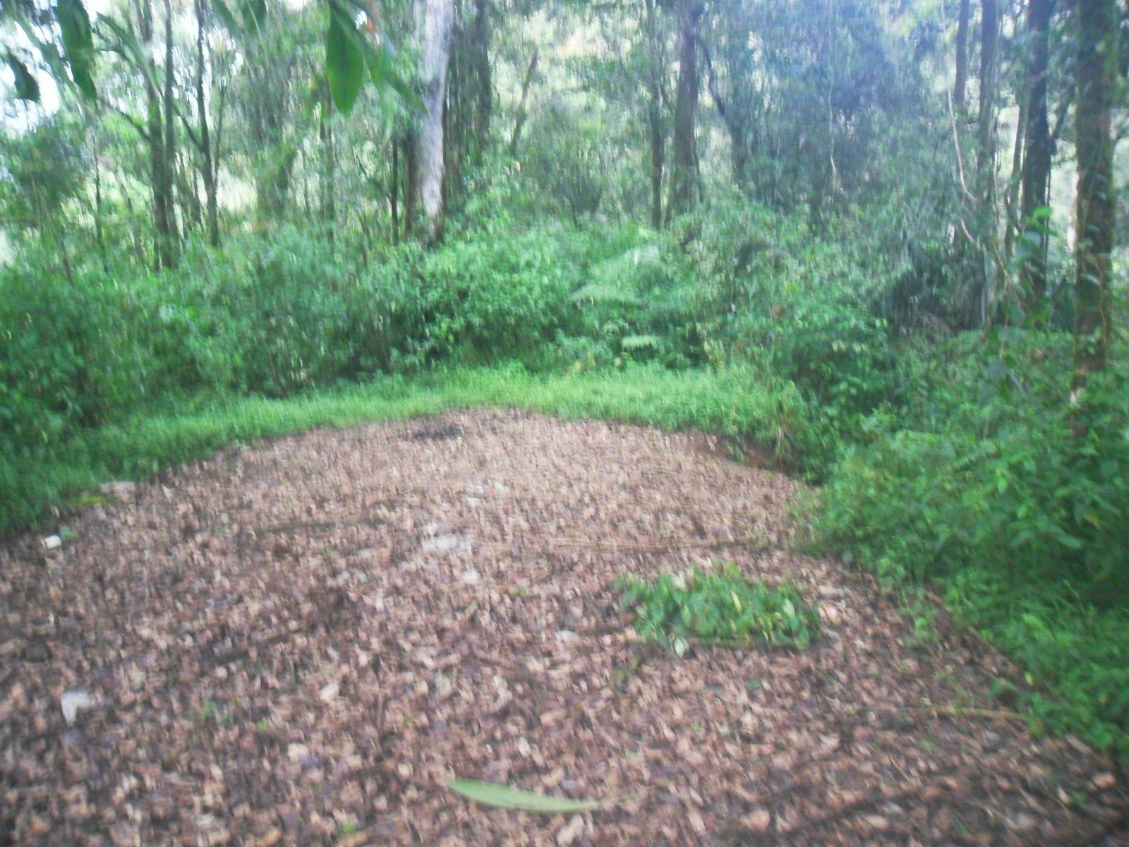 SAM_0726.JPG
