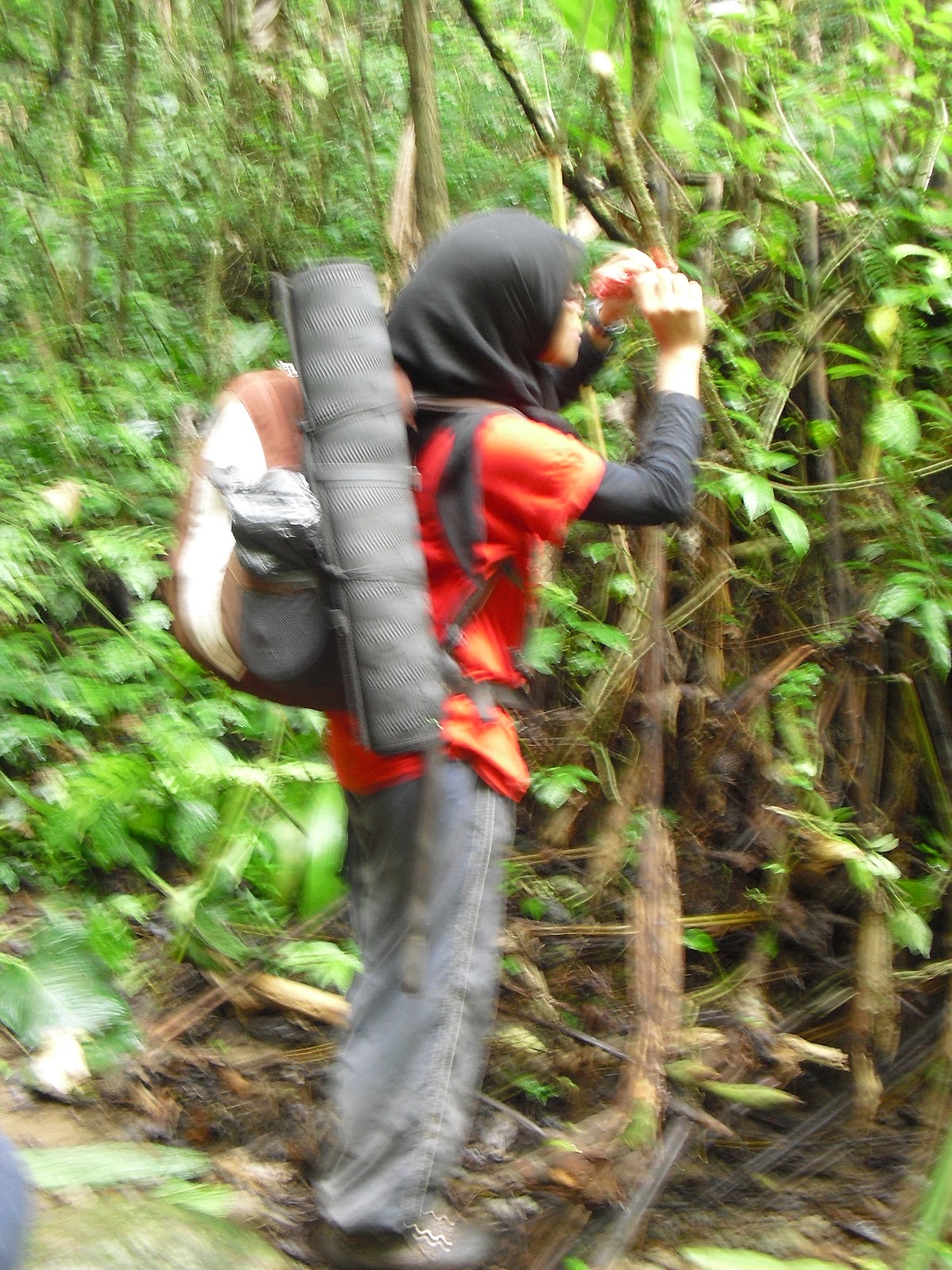 CIMG2345.JPG