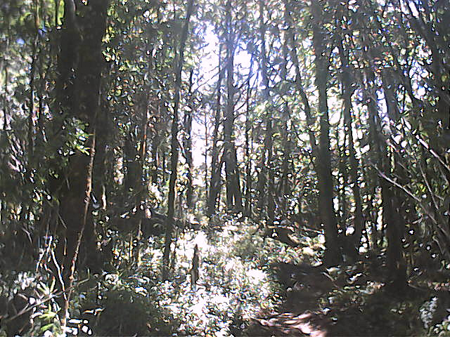 Ciremai, 20-23 September 2003 1 - 048.jpg