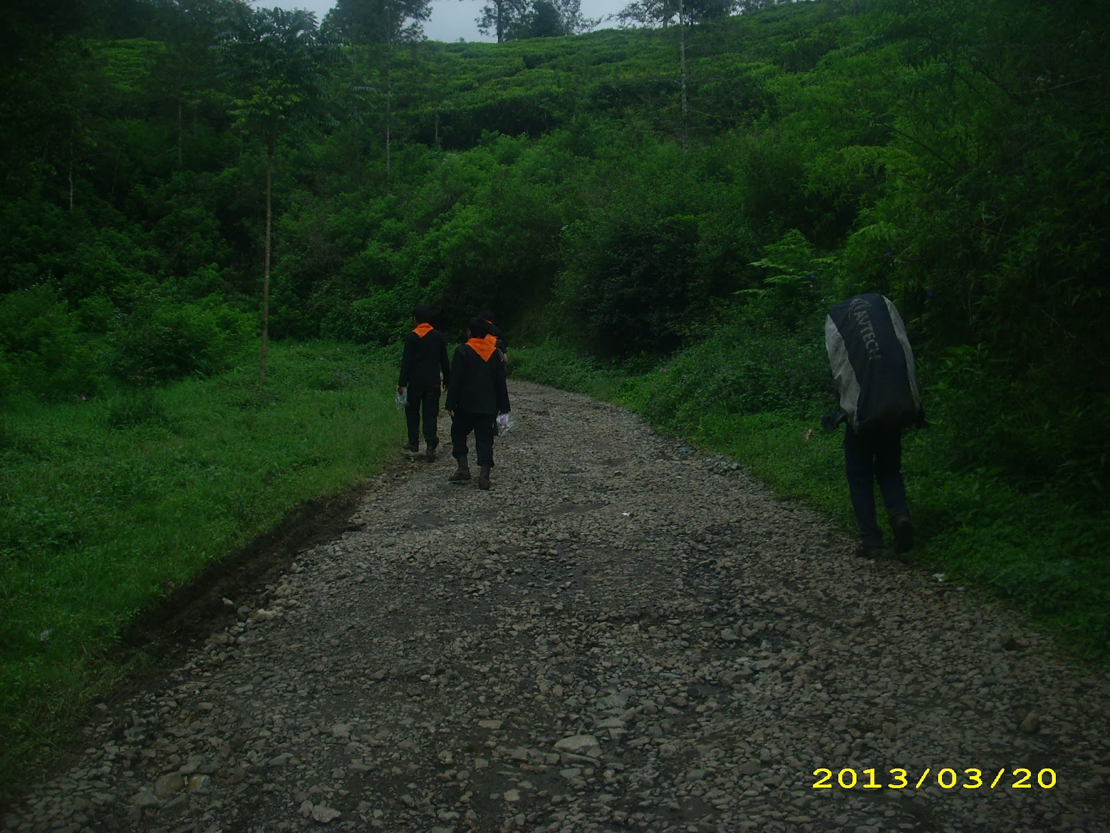 DSCI7739.JPG