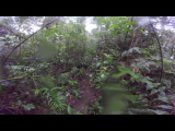 GOPR9888.THM
