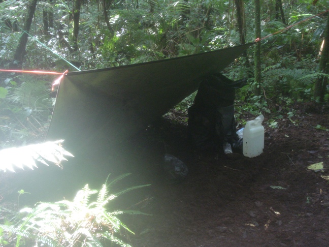 DSC02515.JPG