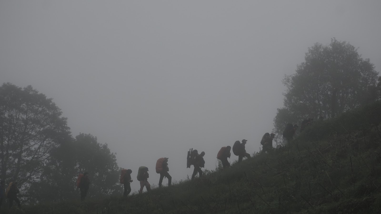 DSC08894.JPG