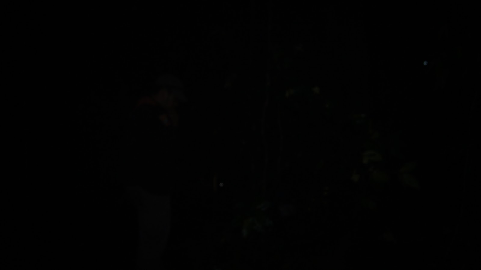 DSC04235.JPG