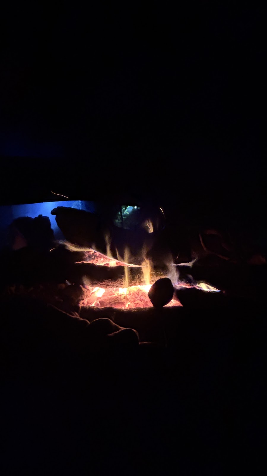IMG_6678.JPG