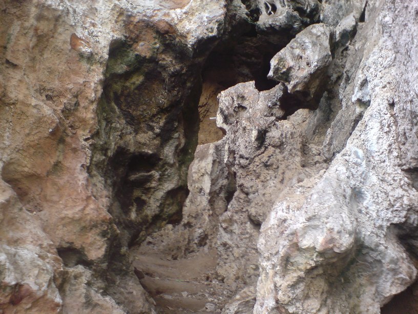 DSC00098.jpg