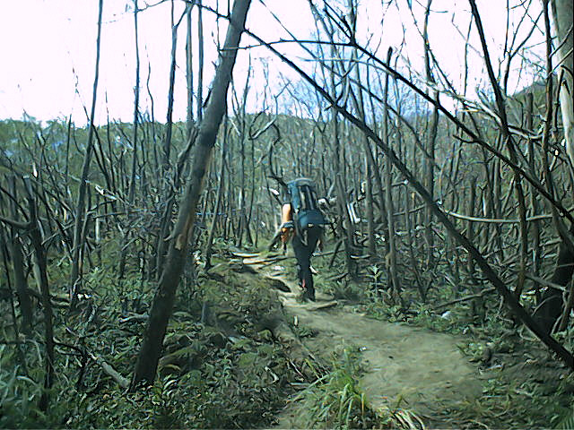 Ciremai, 20-23 September 2003 1 - 023.jpg