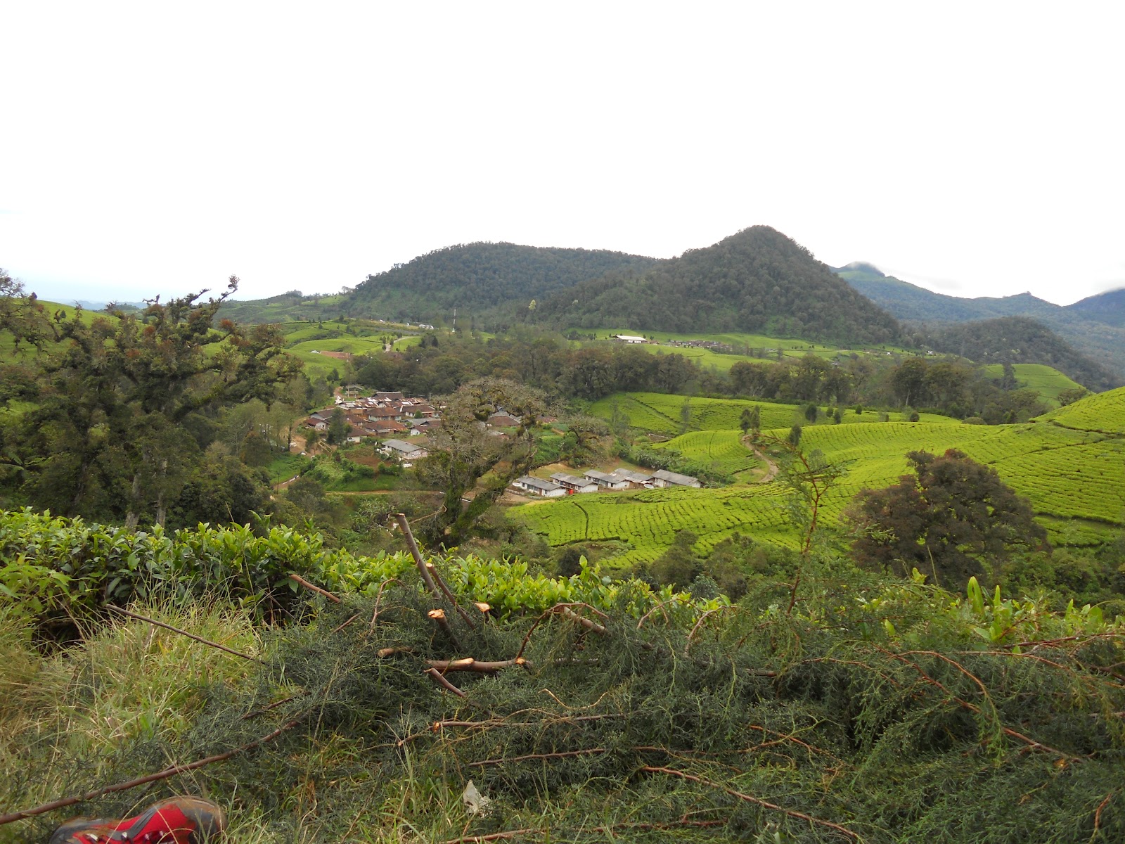 DSCN1398.JPG