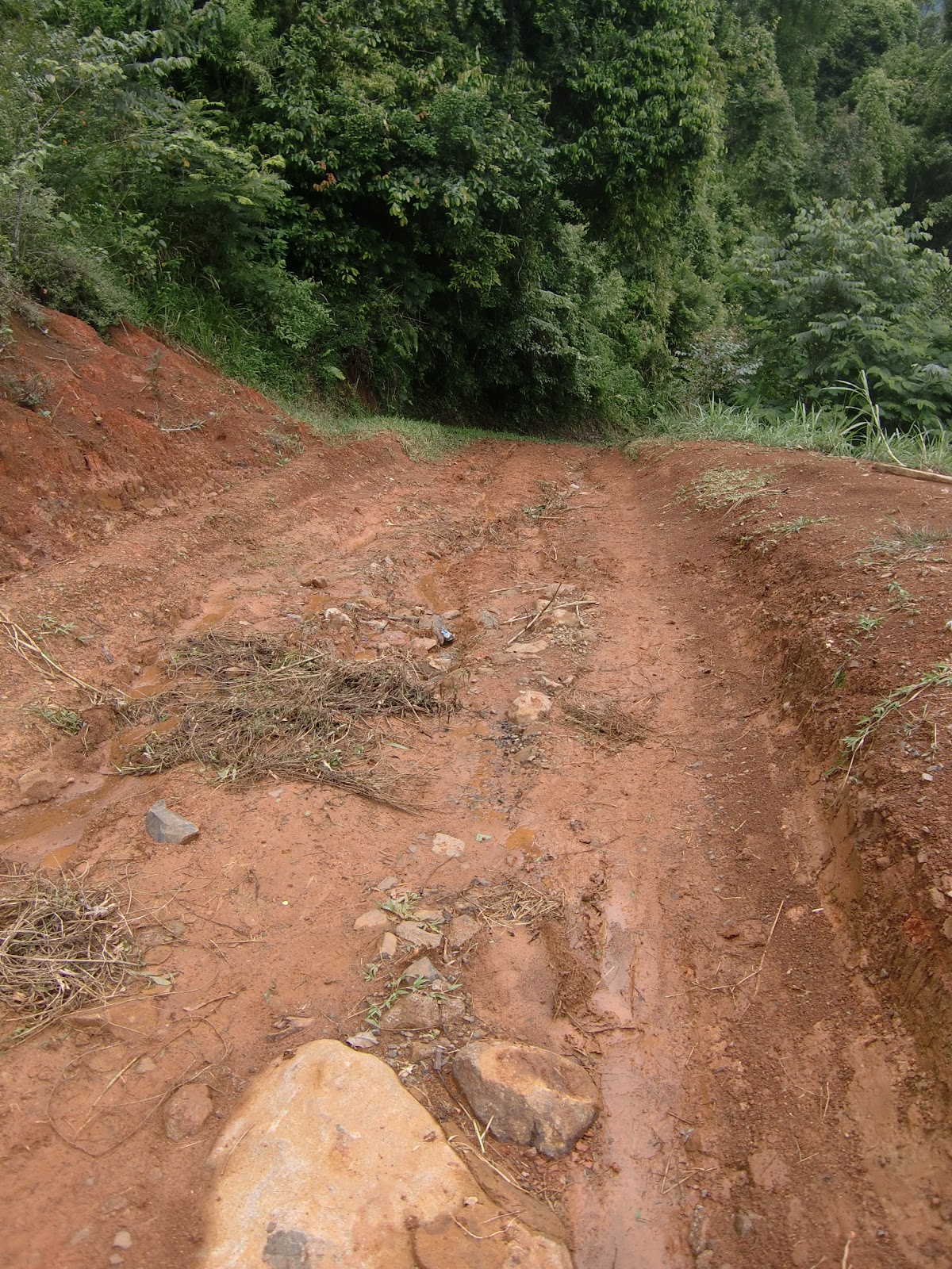 CIMG2903.JPG